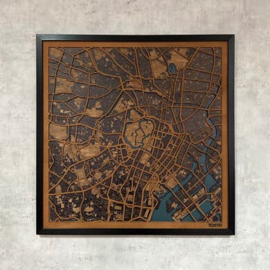 Map of Tokyo 63.5x63.5см